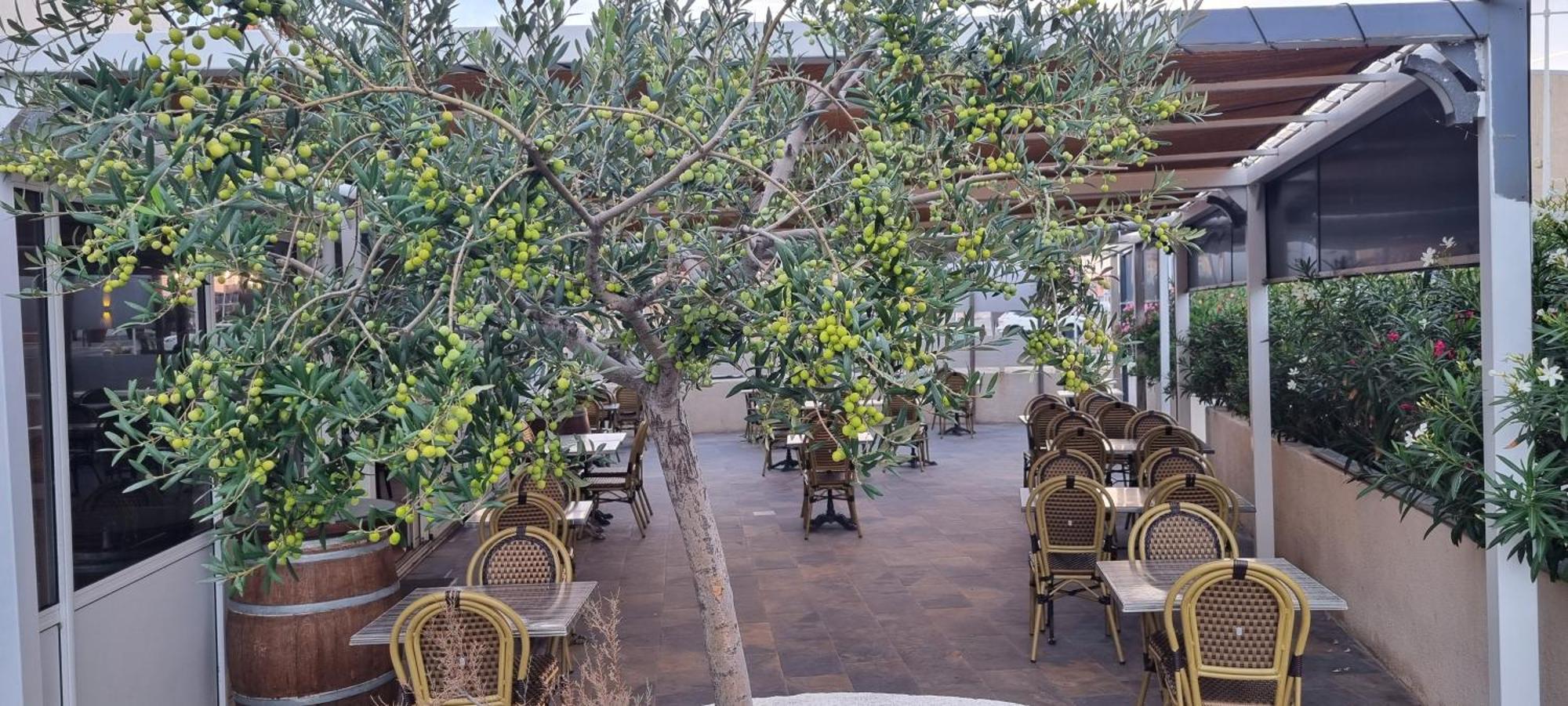 Hotel Restaurant Calypso 포쉬르메르 외부 사진